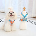Bestselling universal nylon cat and dog harness