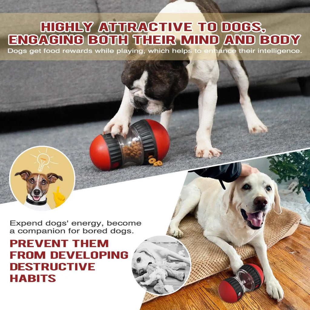 Dog snacks interactive toys