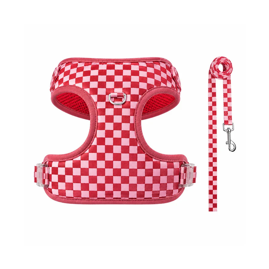 Adjustable webbing dog harness, collar, leash, dog walking kit