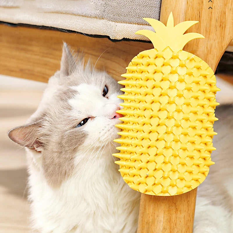 2-in-1 cat hair massager with cat hair ball, easy to install
