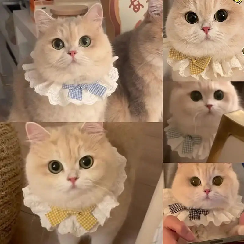 Fashionable solid color cute pet decoration pet accessories