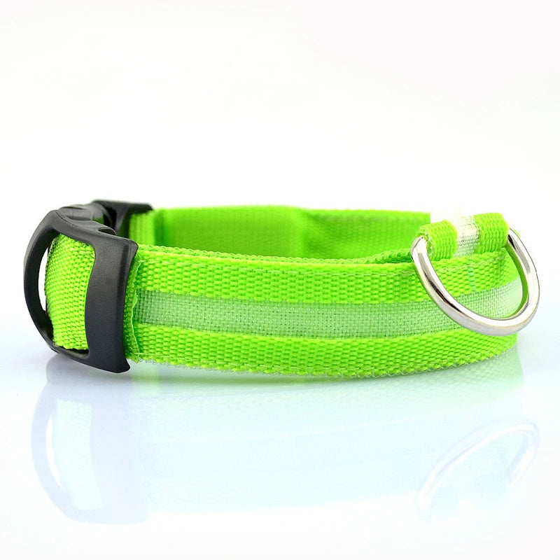 Adjustable LED dog collar flash strap with rechargeable reflective pet neck strap, suitable for safe walking at night