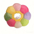 Flower shaped anti lick, anti scratch, anti scratch Elizabeth collar
