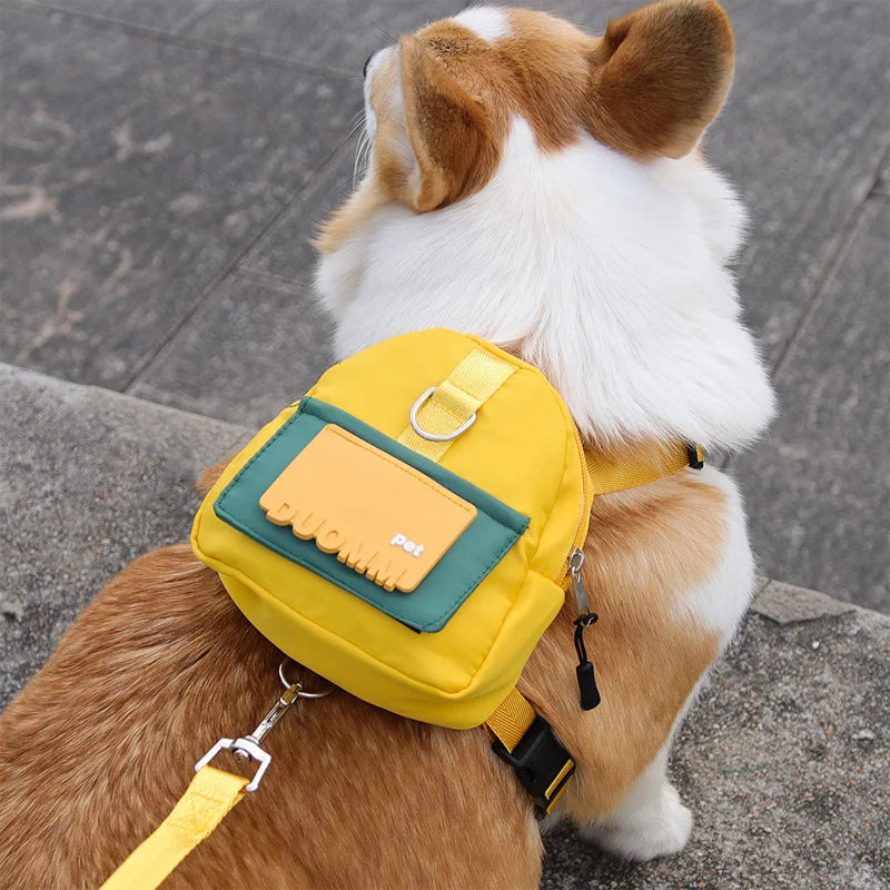 Outdoor pet walking harness backpack