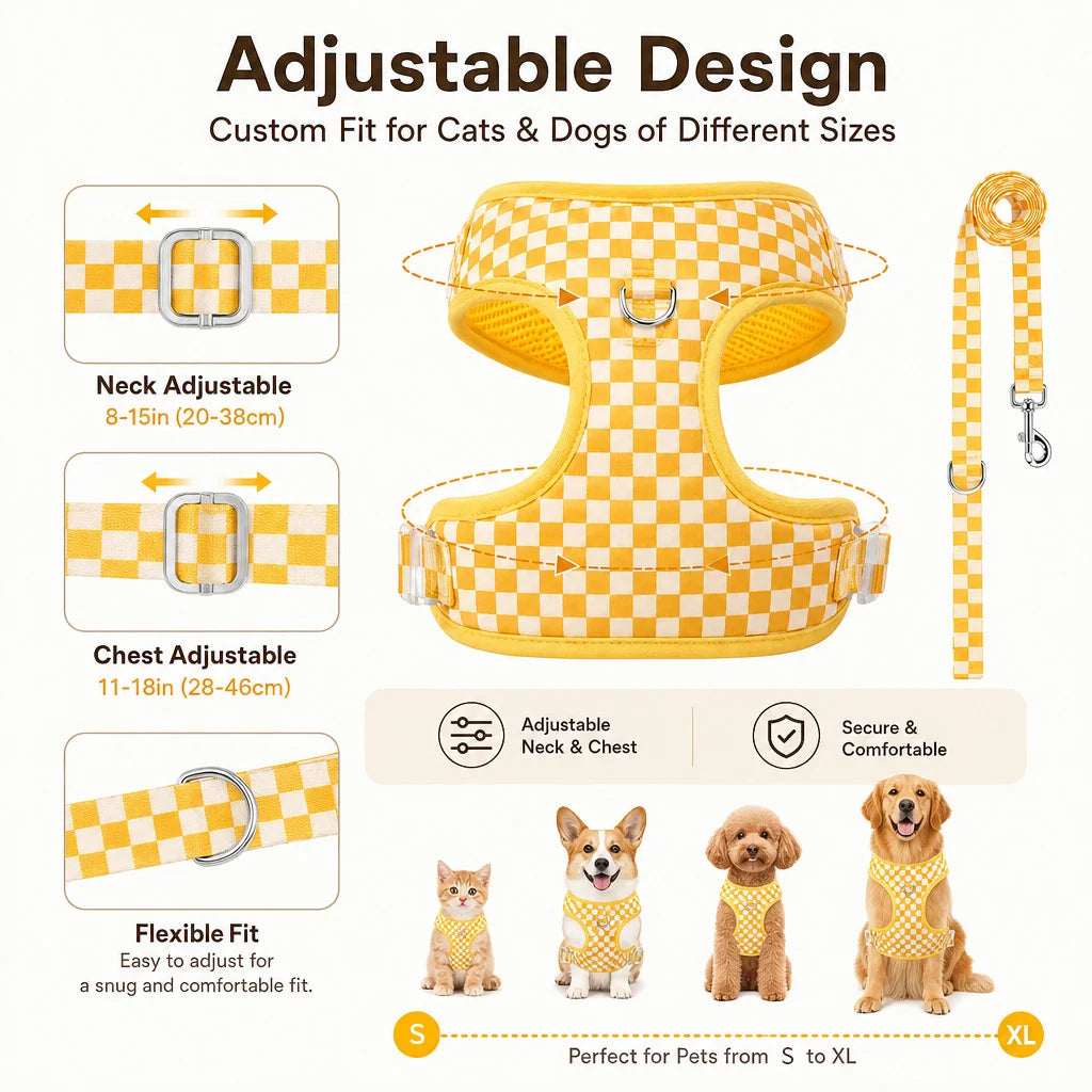 Adjustable webbing dog harness, collar, leash, dog walking kit