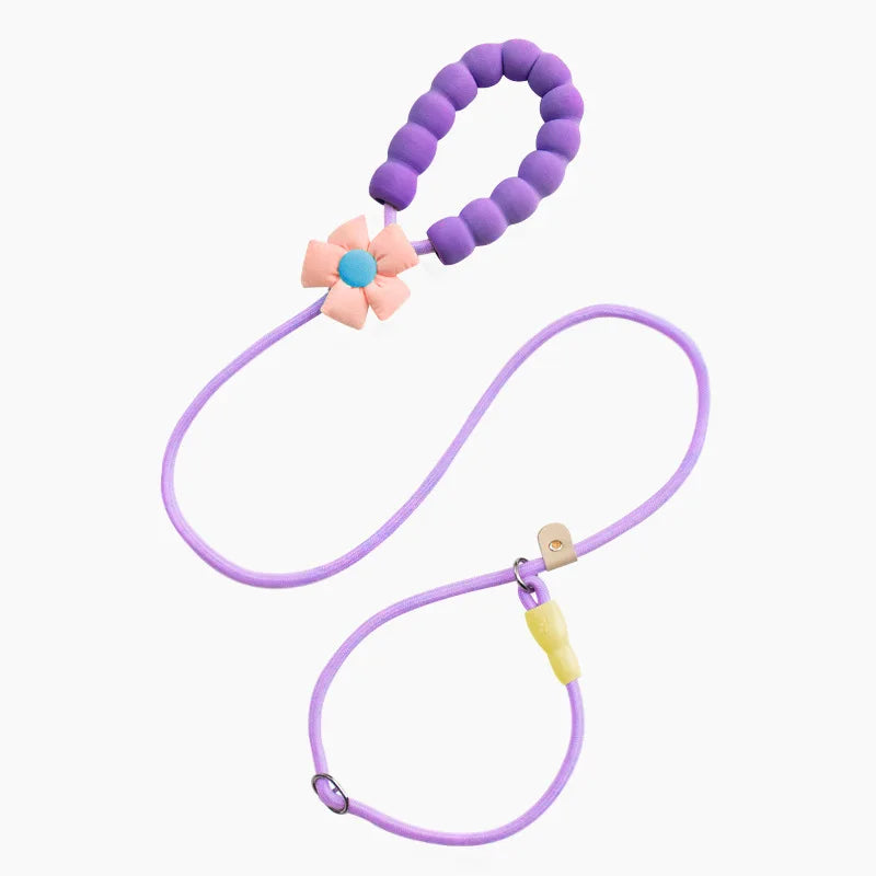 Pet dog leash