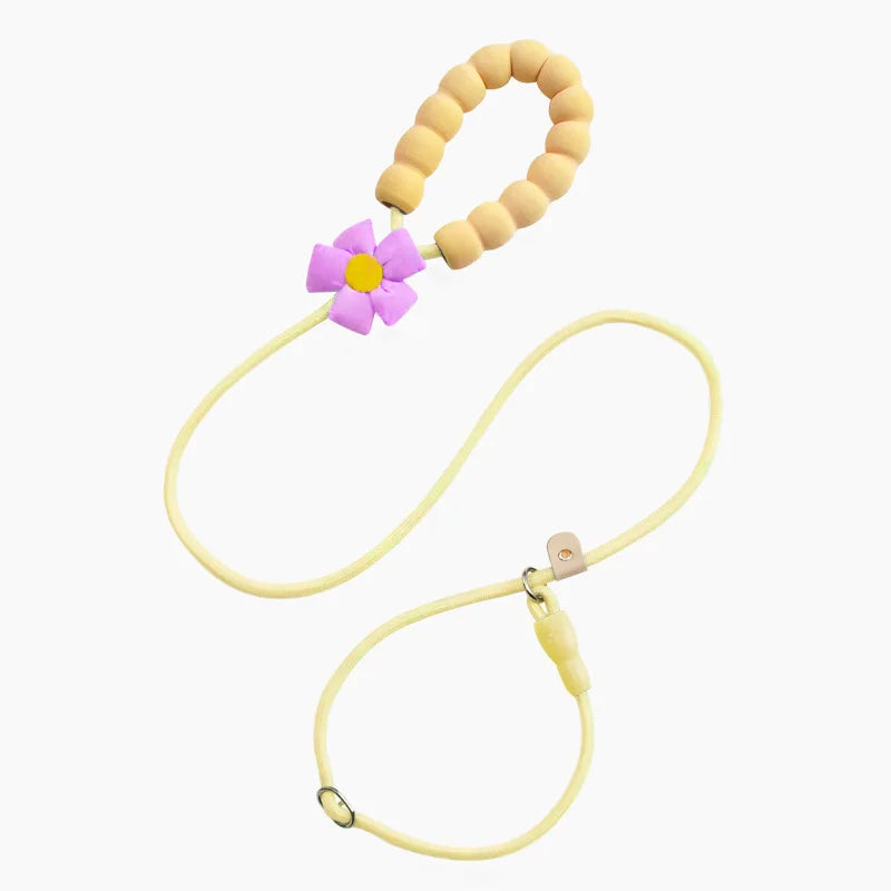 Pet dog leash