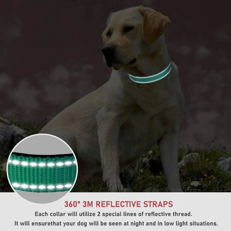 Reflective solid color dog collar