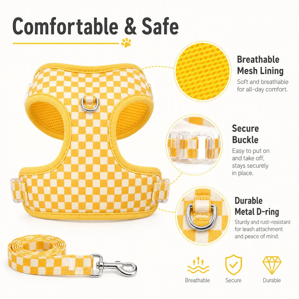 Adjustable webbing dog harness, collar, leash, dog walking kit