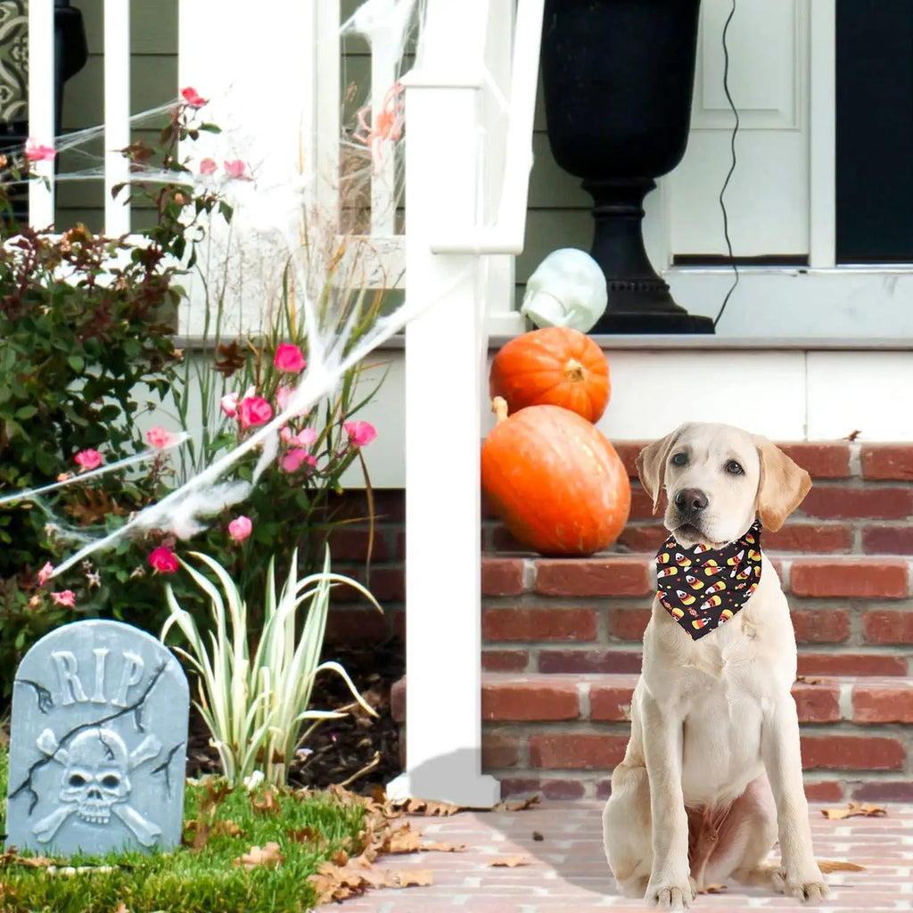 Pet dog scarf, Halloween pumpkin pattern, luxurious double-sided pet cat and dog scarf