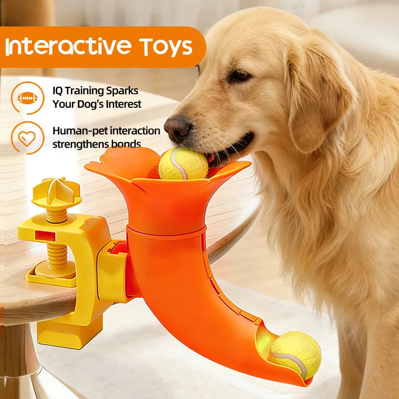 Automatic Pet Ball Launcher and Interactive Feeder