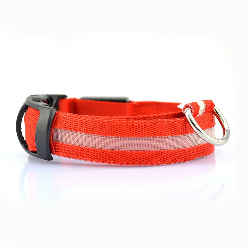Adjustable LED dog collar flash strap with rechargeable reflective pet neck strap, suitable for safe walking at night