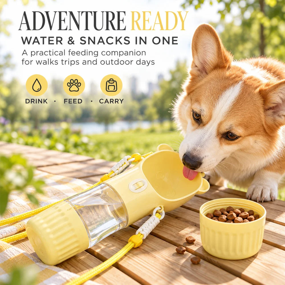 2-in-1 portable dog drinking bowl