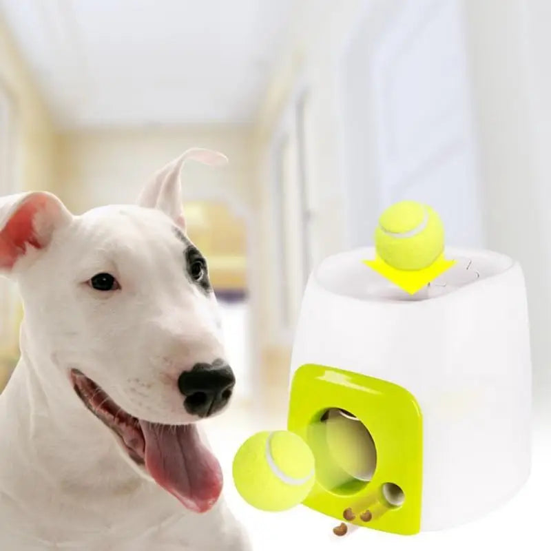 Environmentally friendly intelligent pet tennis feeder toy