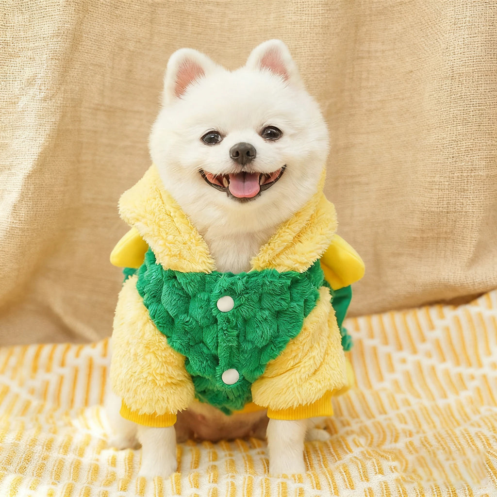 New hot selling gift creative turtle style funny pet cat dog party clothing warm polyester clothes in stock