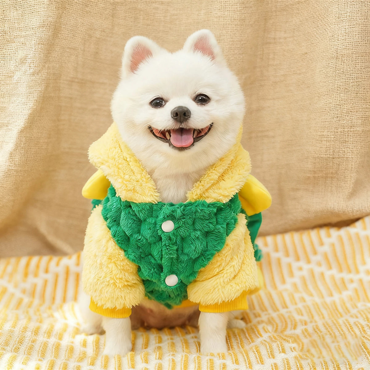 New hot selling gift creative turtle style funny pet cat dog party clothing warm polyester clothes in stock