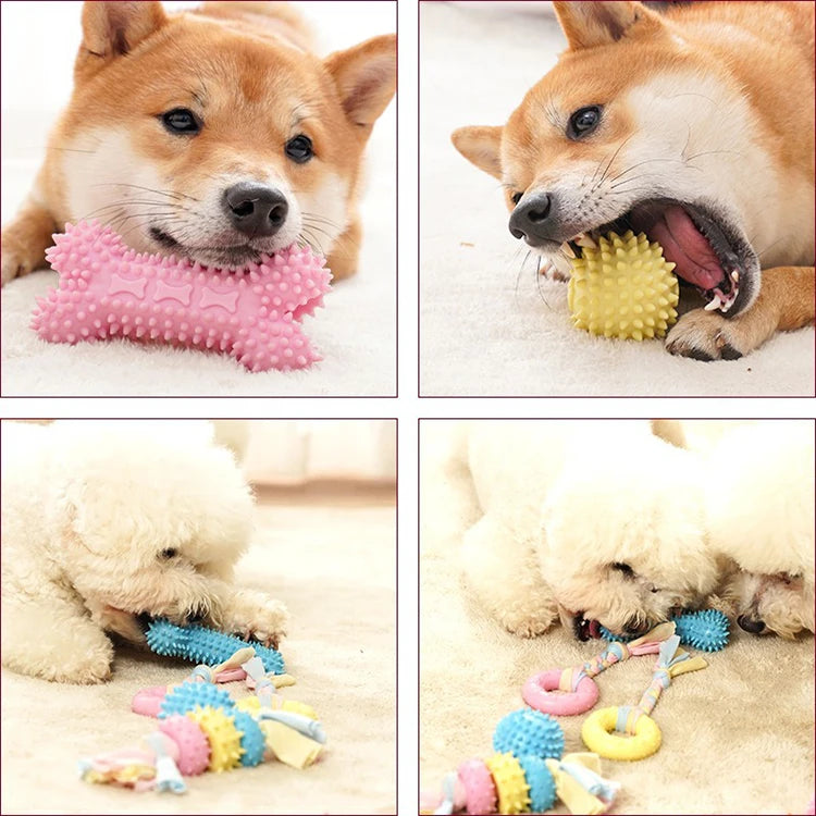 New Dog Toys