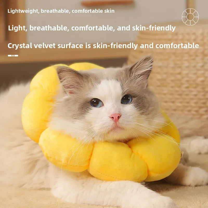 Flower shaped anti lick, anti scratch, anti scratch Elizabeth collar