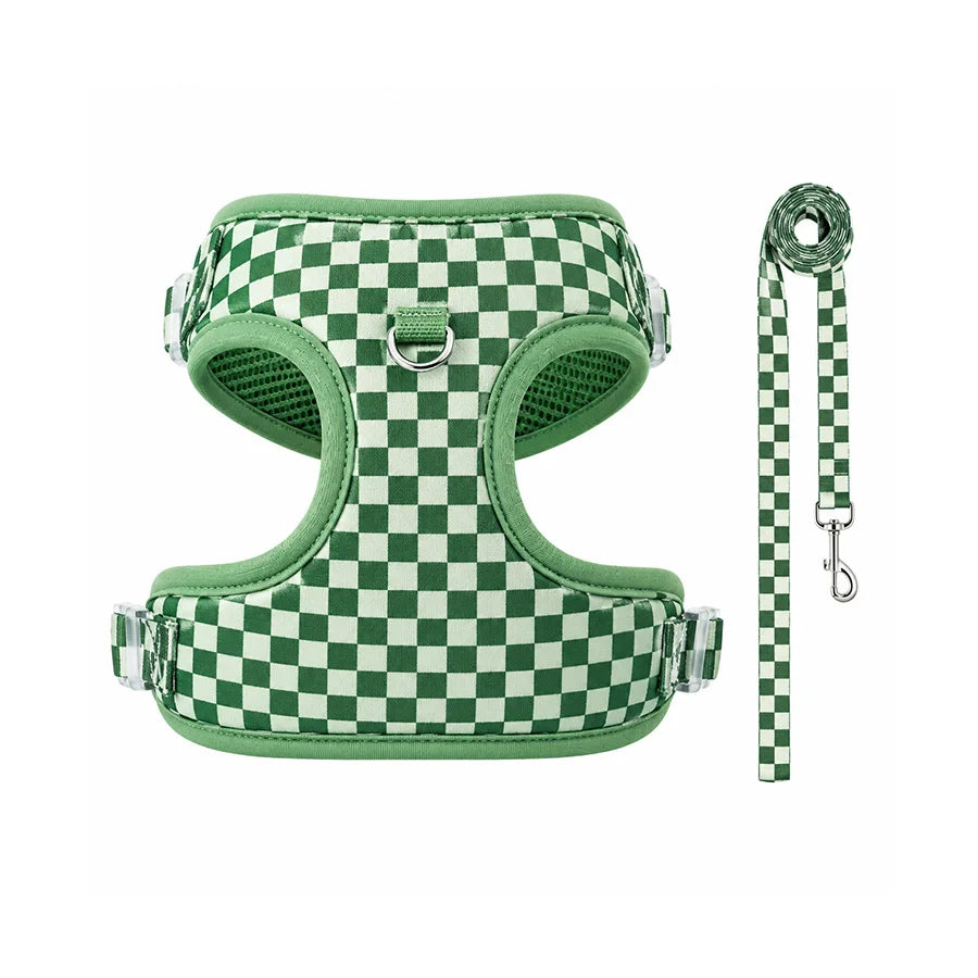 Adjustable webbing dog harness, collar, leash, dog walking kit