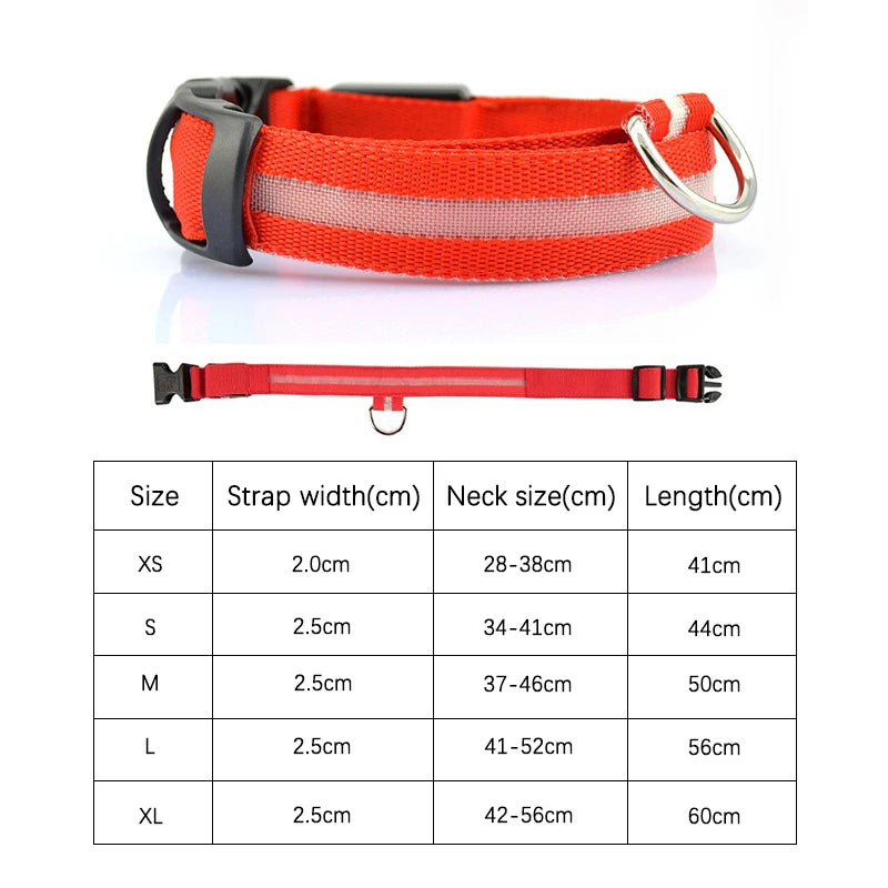 Adjustable LED dog collar flash strap with rechargeable reflective pet neck strap, suitable for safe walking at night