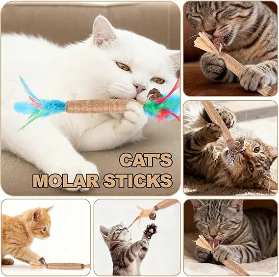 Natural Silver Vine Cat Chewing Stick with Feather Hemp Rope Interactive Toy, Including Lafite Grass Fruit