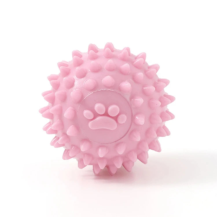 New Dog Toys
