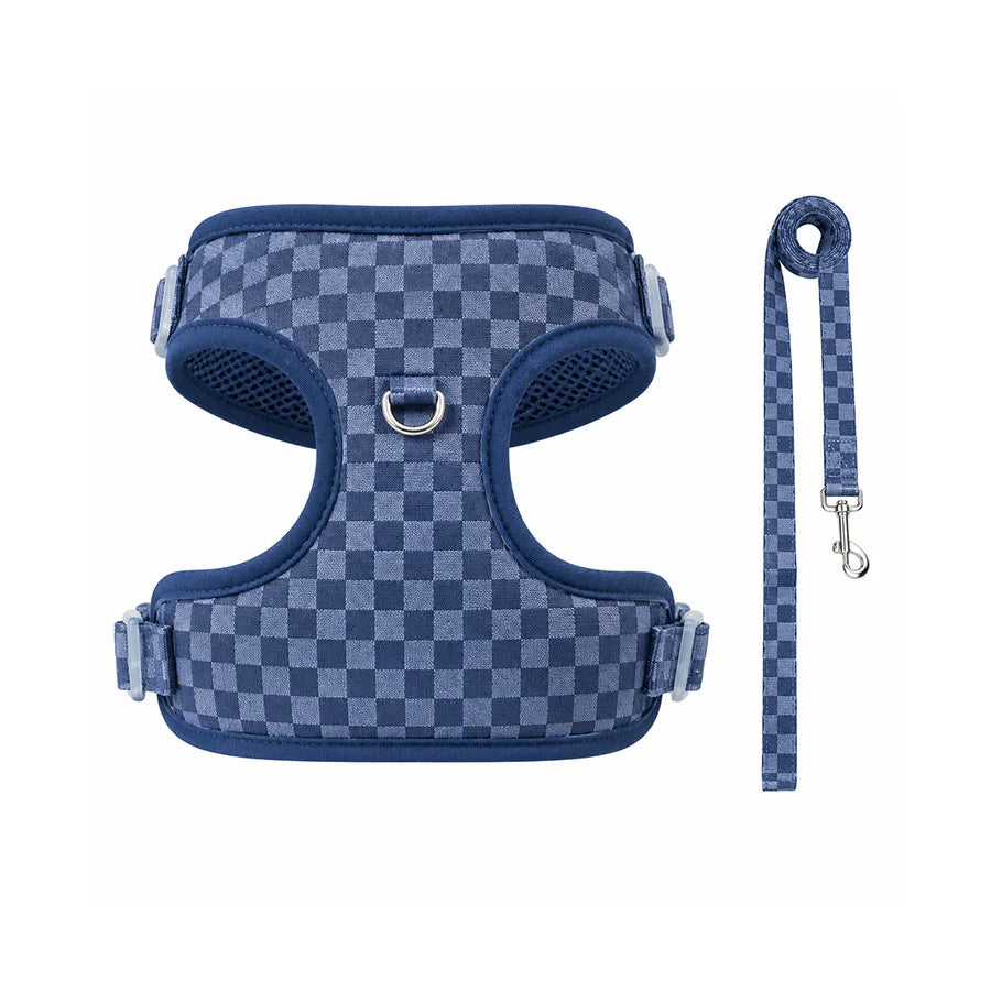 Adjustable webbing dog harness, collar, leash, dog walking kit