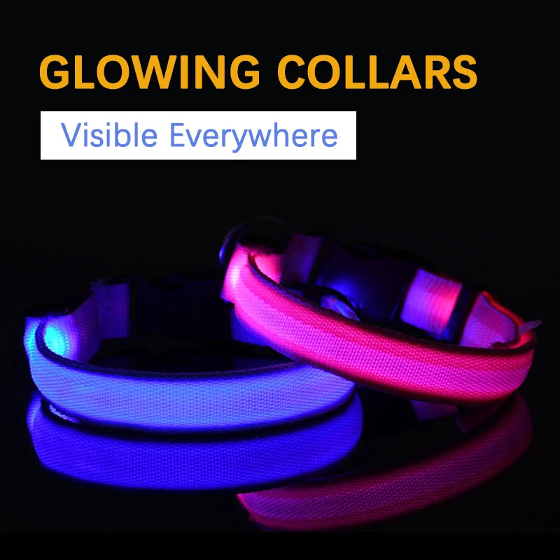 Adjustable LED dog collar flash strap with rechargeable reflective pet neck strap, suitable for safe walking at night