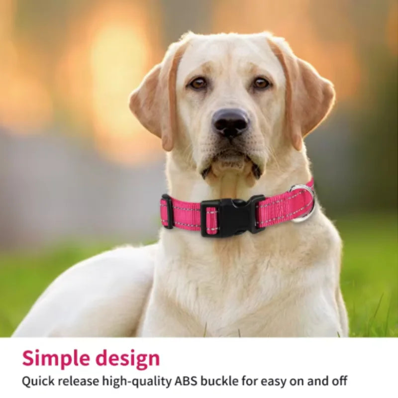 Reflective solid color dog collar