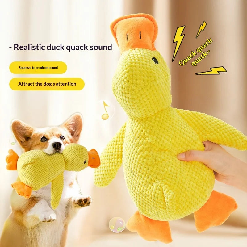 Dogs relieve boredom, grind their teeth, ducks enjoy themselves, and make sounds with toys