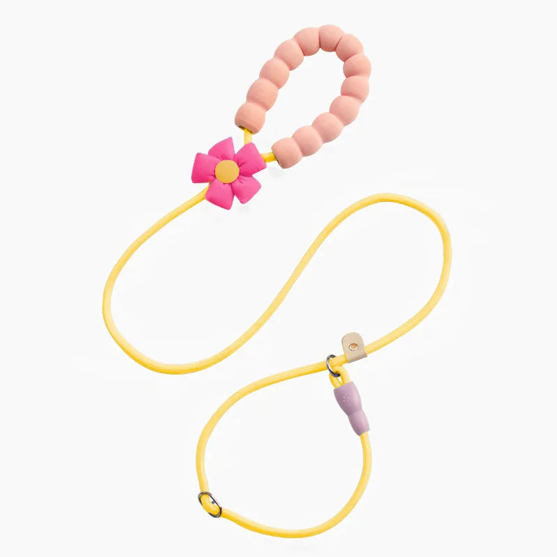 Pet dog leash
