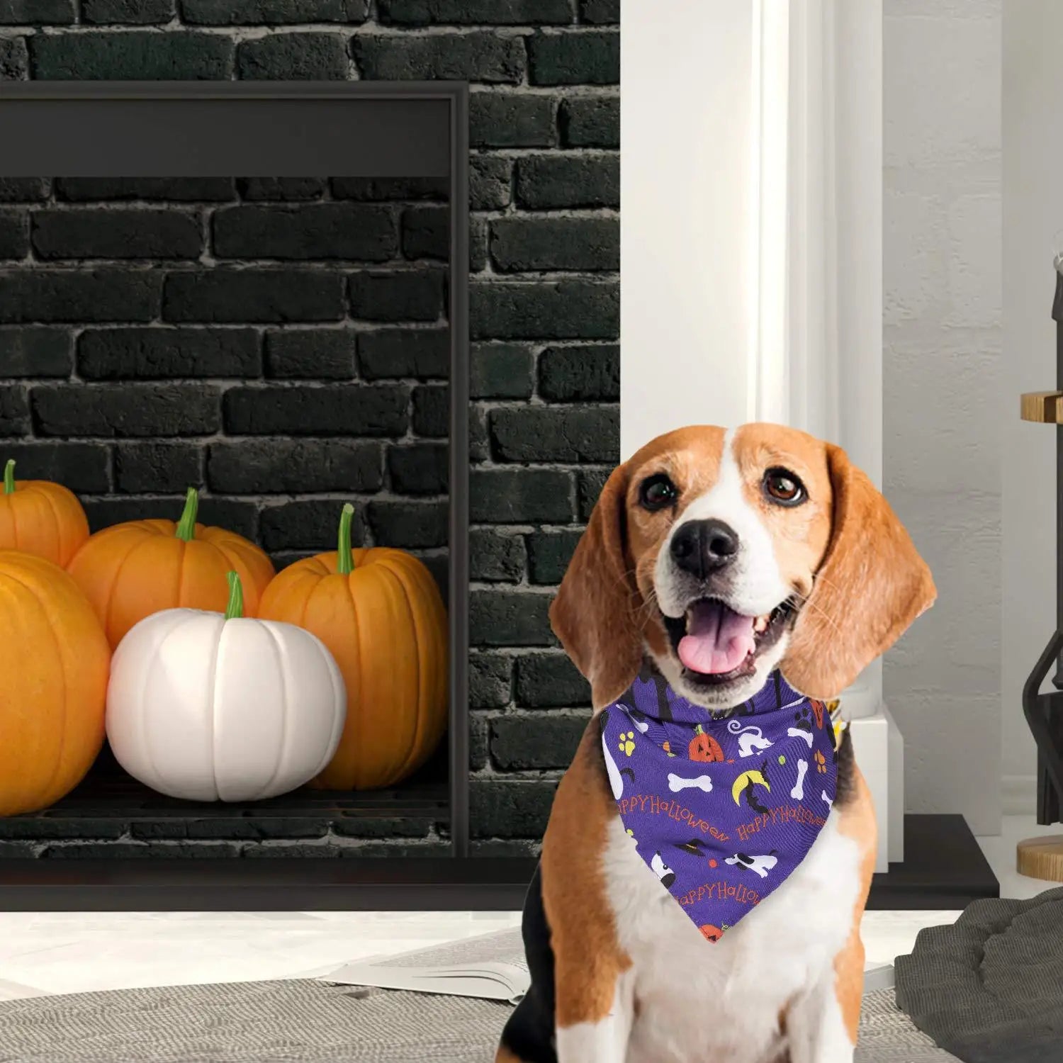 Pet dog scarf, Halloween pumpkin pattern, luxurious double-sided pet cat and dog scarf