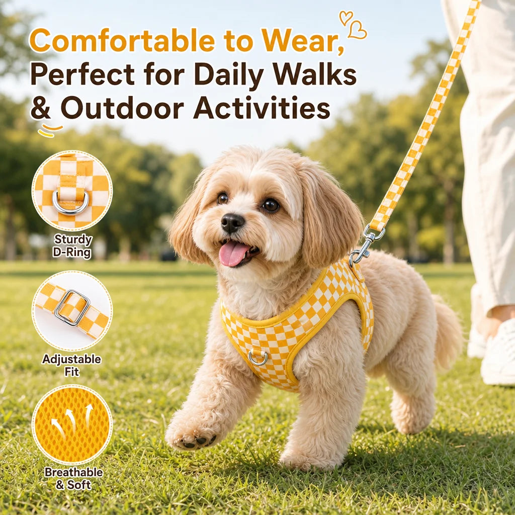 Adjustable webbing dog harness, collar, leash, dog walking kit