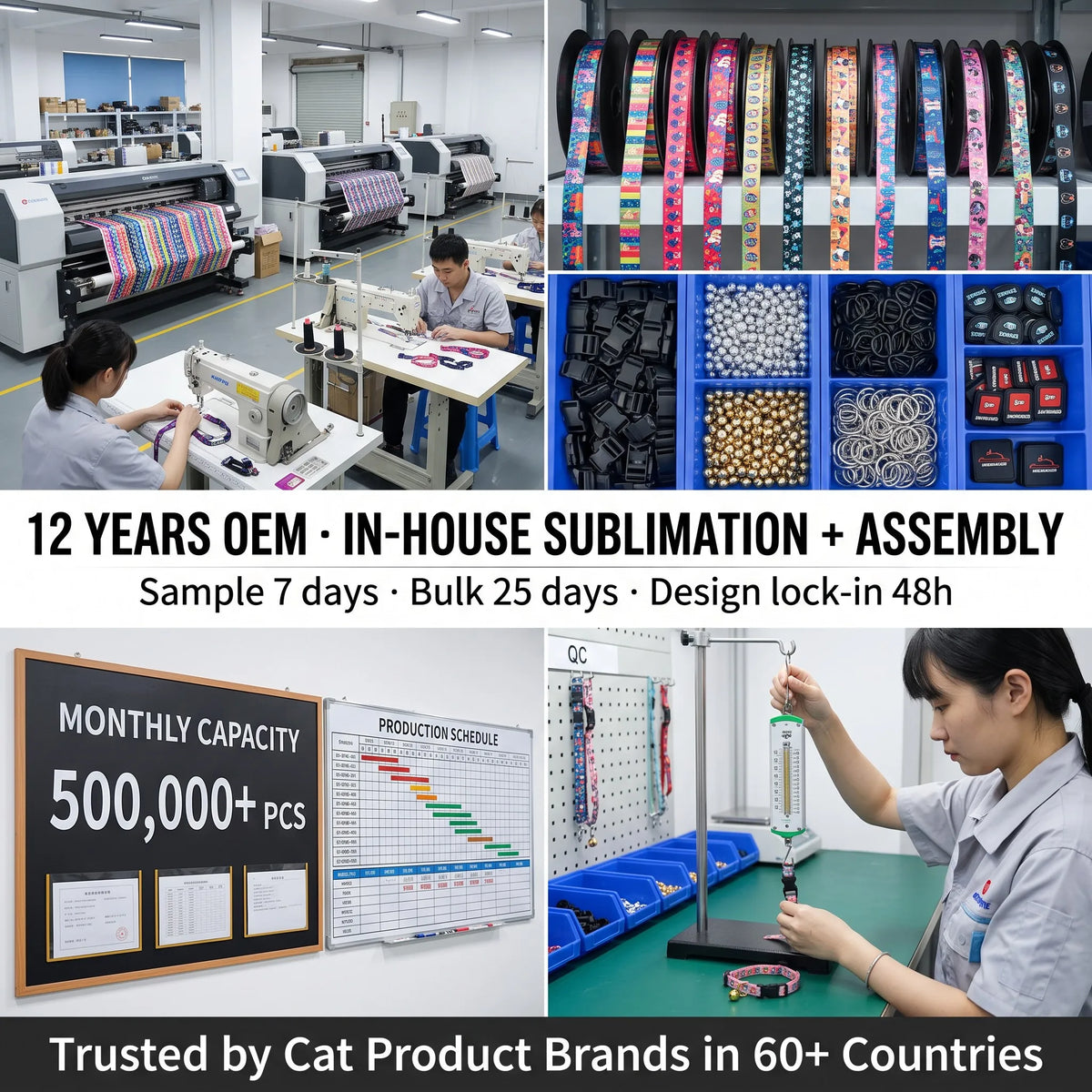 Cat collar with detachable buckle, bell, and bow, heat sublimation printed nylon pet collar.