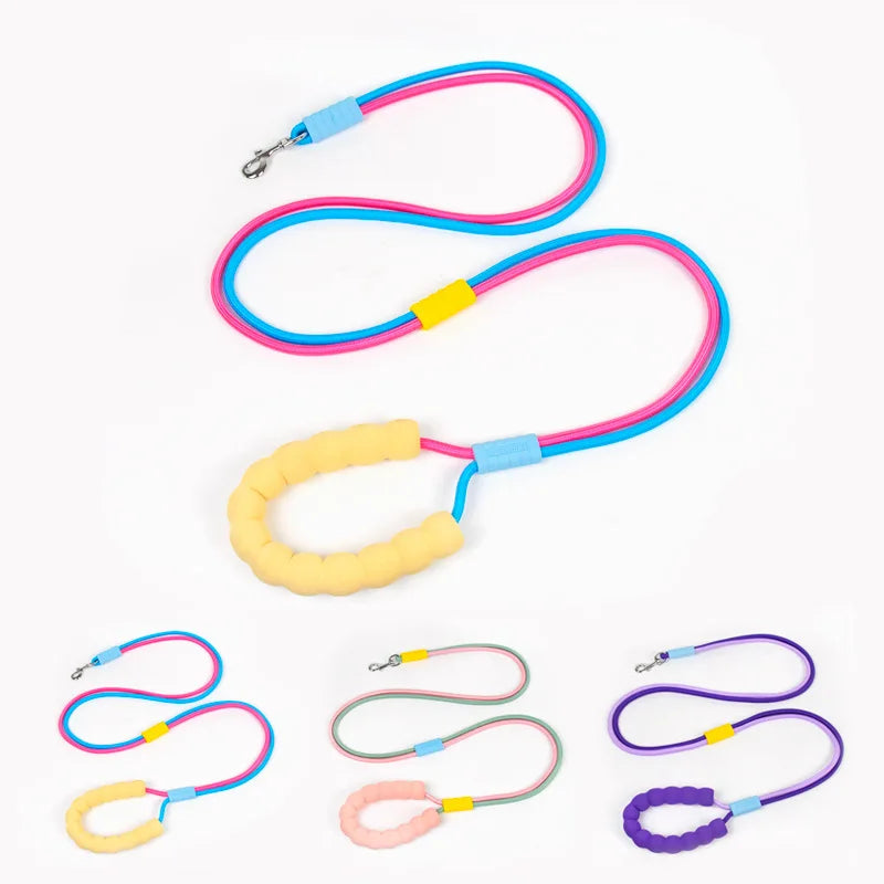 Pet dog leash