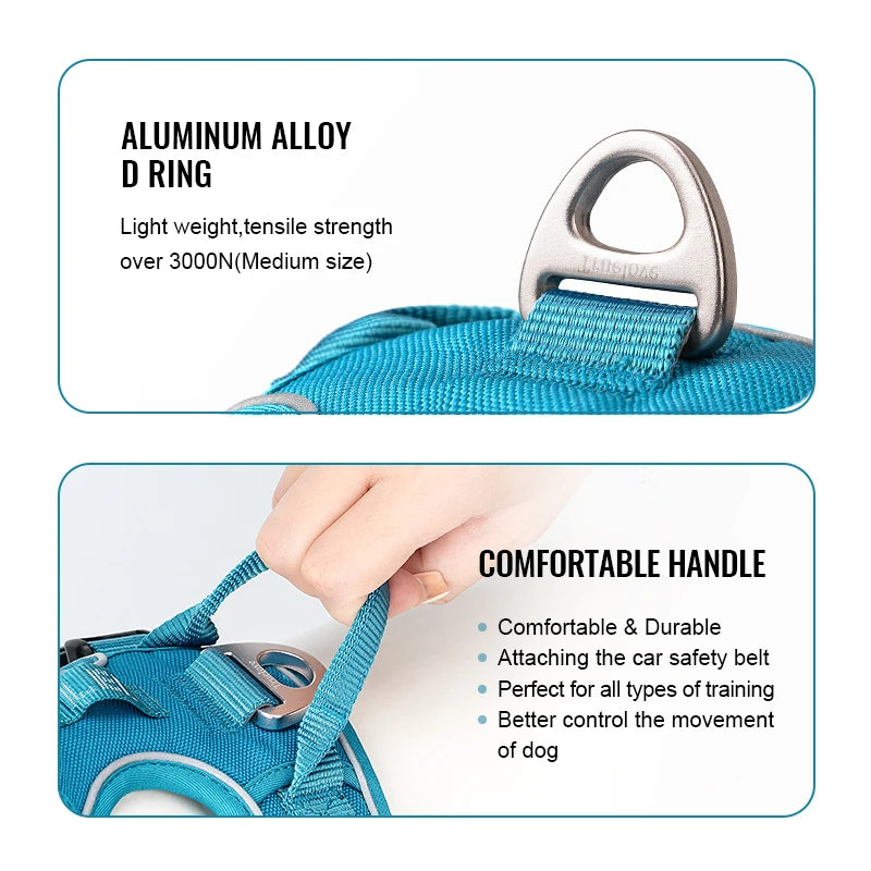 Truelove Luxury Adjustable Best Pet Harness Leash Collar Set Reflective Anti Pull Premium Dog Training Vest for Small Large Cats