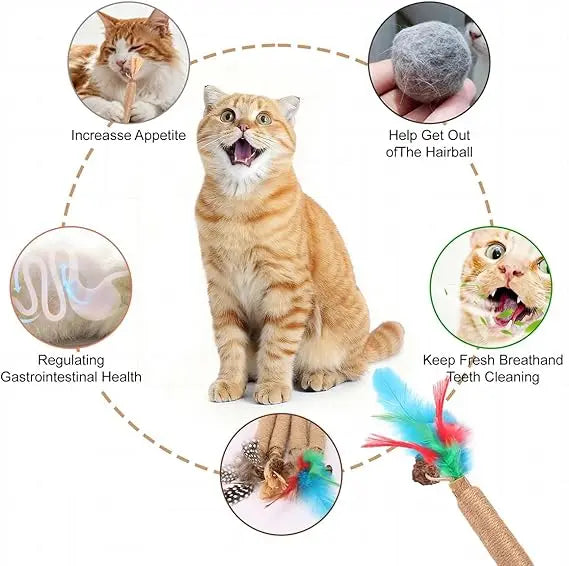 Natural Silver Vine Cat Chewing Stick with Feather Hemp Rope Interactive Toy, Including Lafite Grass Fruit
