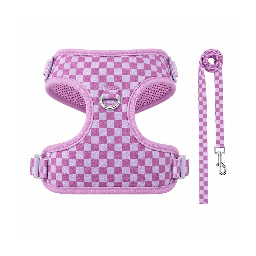 Adjustable webbing dog harness, collar, leash, dog walking kit