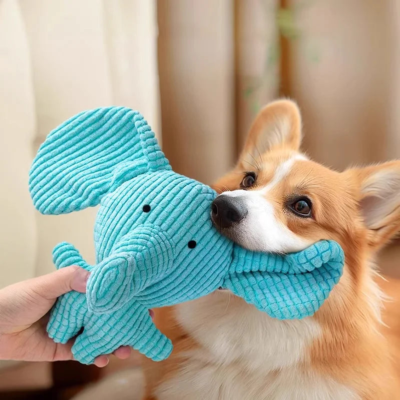 Hot selling pet dog toys