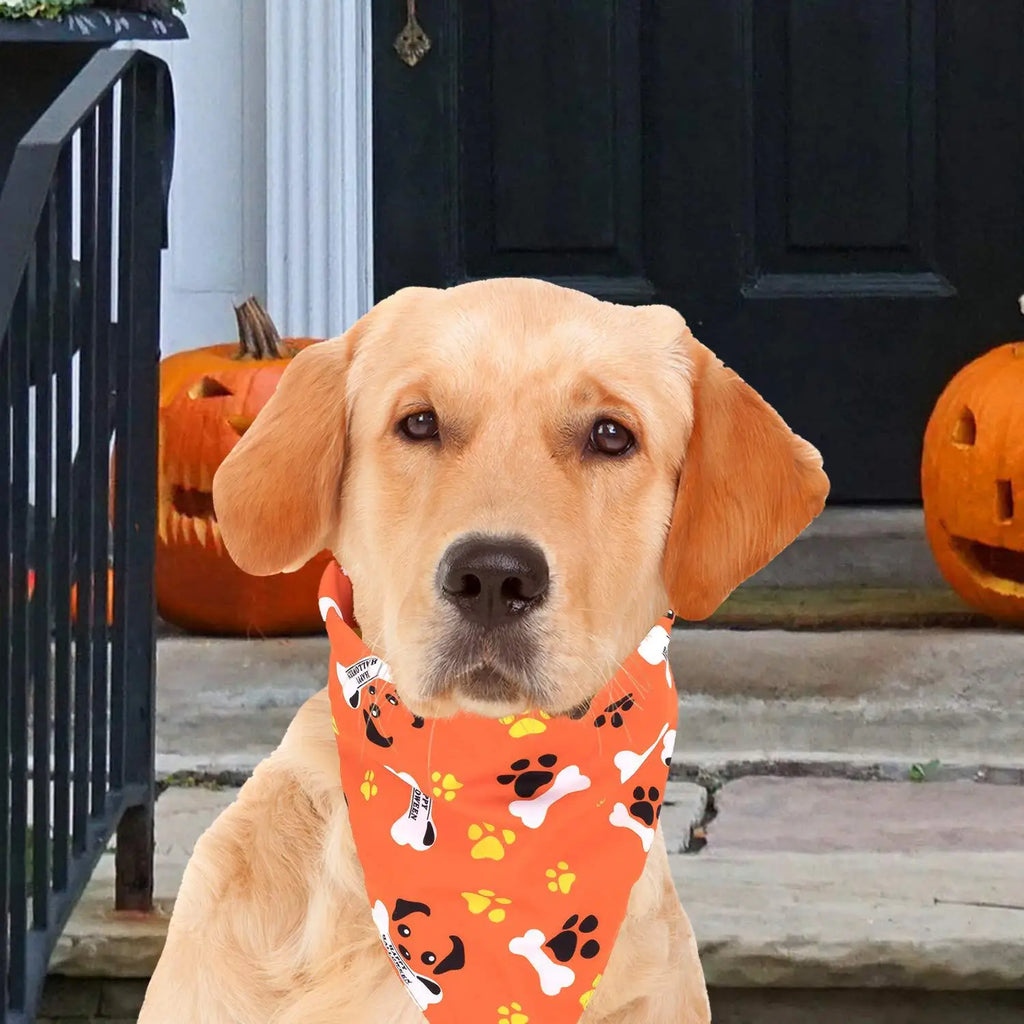 Pet dog scarf, Halloween pumpkin pattern, luxurious double-sided pet cat and dog scarf