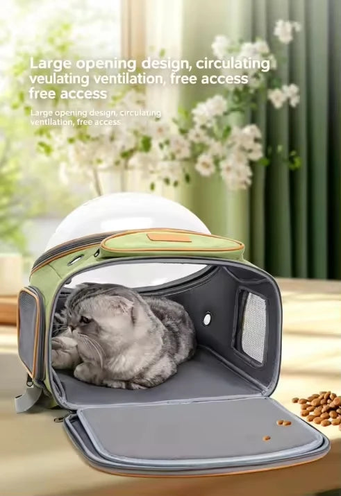 Transparent waterproof outdoor cat bag