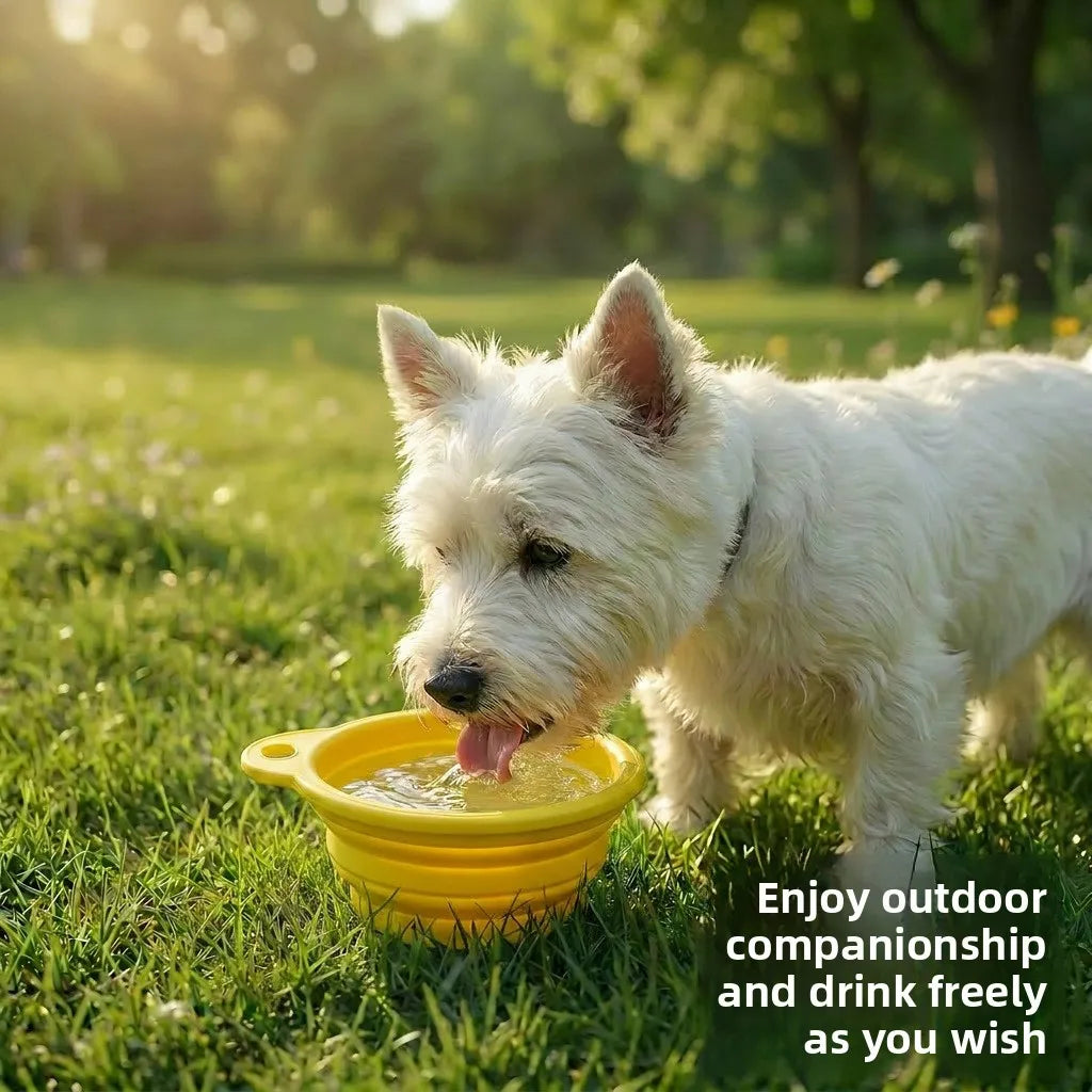 Foldable pet feeding and drinking bowl