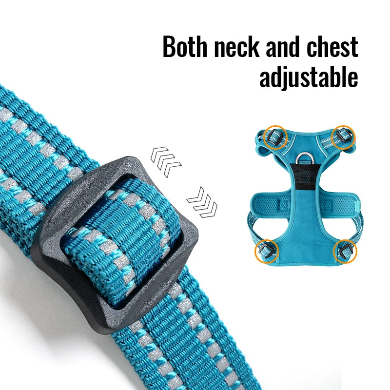 Truelove Luxury Adjustable Best Pet Harness Leash Collar Set Reflective Anti Pull Premium Dog Training Vest for Small Large Cats