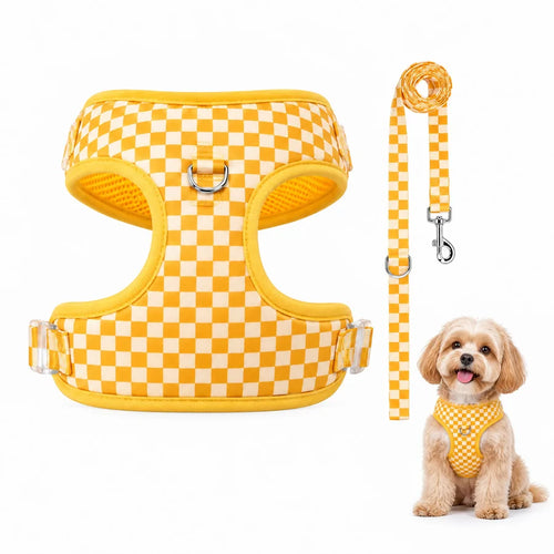 Adjustable webbing dog harness, collar, leash, dog walking kit