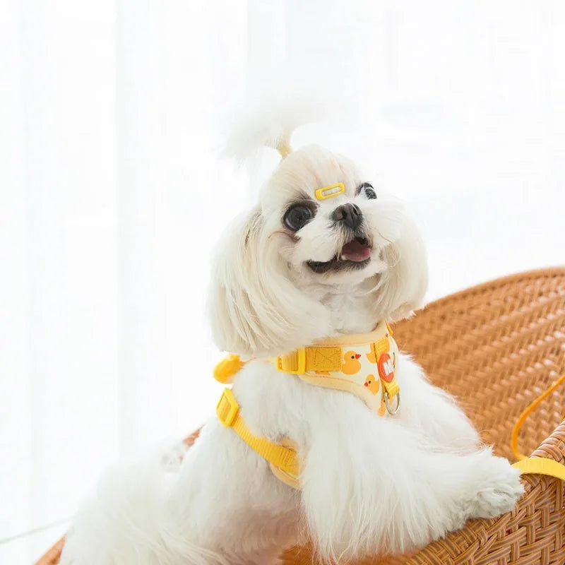 Bestselling universal nylon cat and dog harness