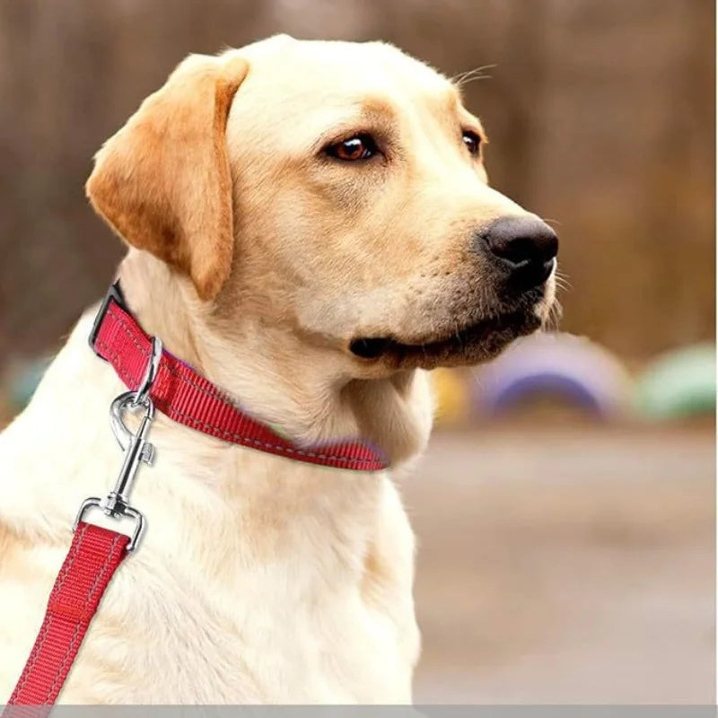 Reflective solid color dog collar