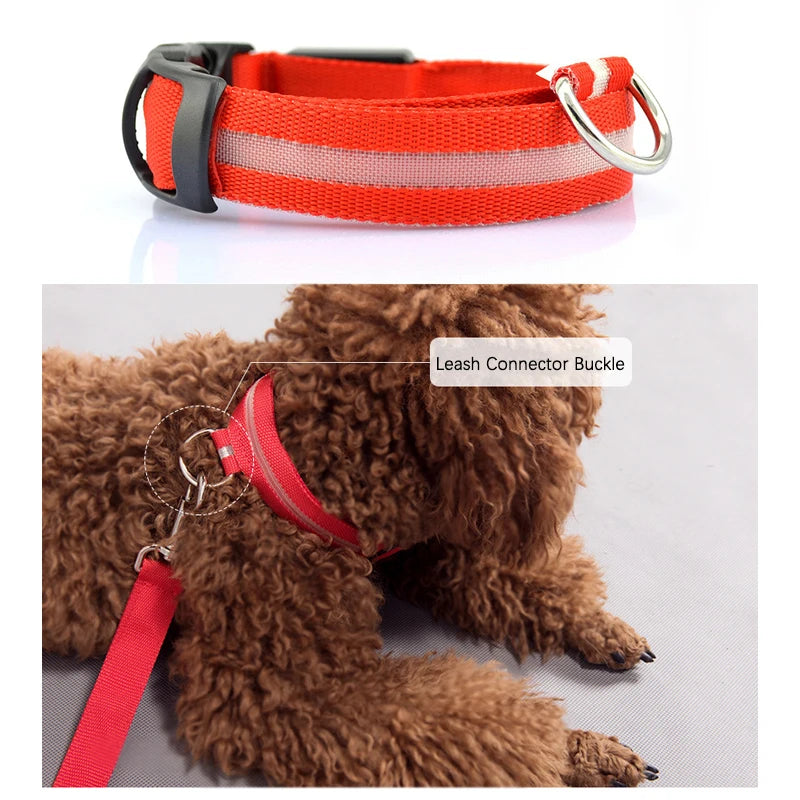 Adjustable LED dog collar flash strap with rechargeable reflective pet neck strap, suitable for safe walking at night
