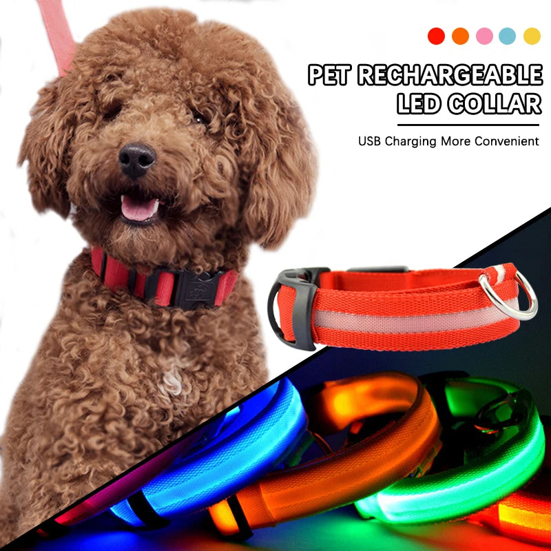 Adjustable LED dog collar flash strap with rechargeable reflective pet neck strap, suitable for safe walking at night