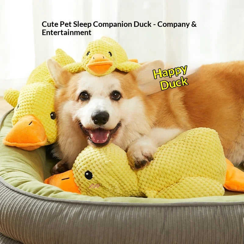 Dogs relieve boredom, grind their teeth, ducks enjoy themselves, and make sounds with toys
