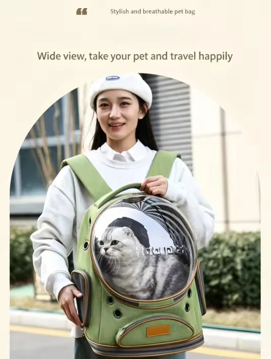 Transparent waterproof outdoor cat bag